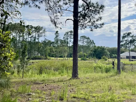 42111 Chinaberry Court Eustis FL 32736