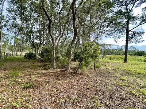 42111 Chinaberry Court Eustis FL 32736