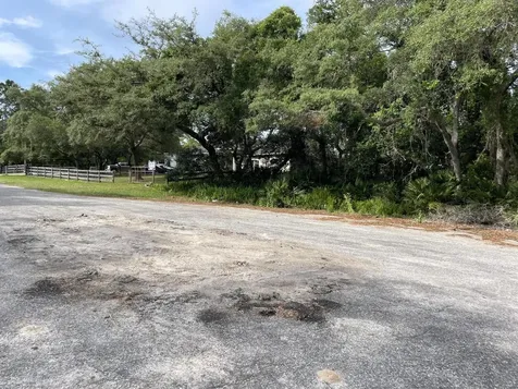 42111 Chinaberry Court Eustis FL 32736