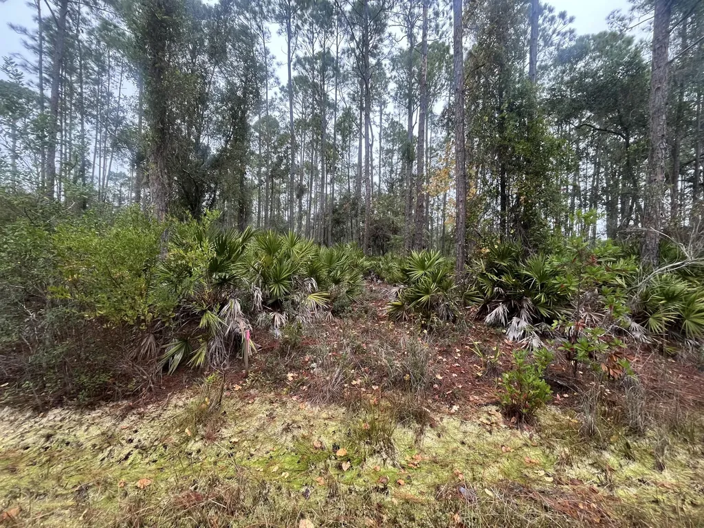 222 Marie Avenue Georgetown FL 32139