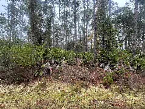 222 Marie Avenue Georgetown FL 32139
