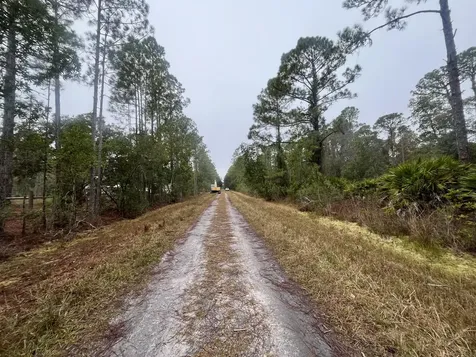 222 Marie Avenue Georgetown FL 32139