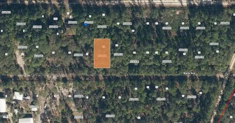 222 Marie Avenue Georgetown FL 32139