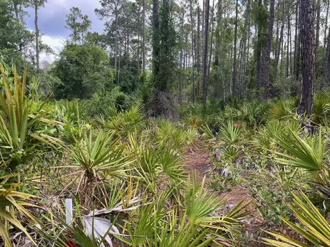 222 Marie Avenue Georgetown FL 32139