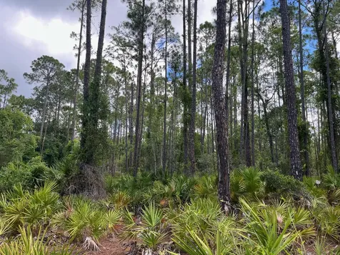 222 Marie Avenue Georgetown FL 32139