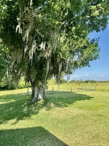 5200 Us Highway 98 Okeechobee FL 34972