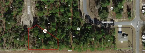 1005 W Riley Drive Citrus Springs FL 34434