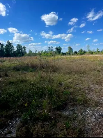 1108306 Oil Well Road Clermont FL 34714