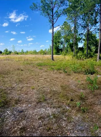 1108306 Oil Well Road Clermont FL 34714