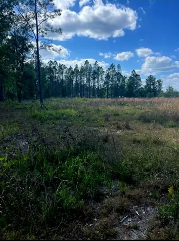 1108306 Oil Well Road Clermont FL 34714