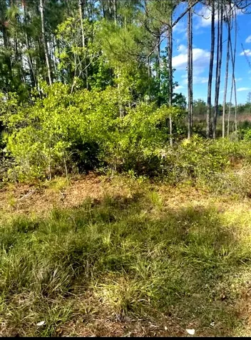 1108306 Oil Well Road Clermont FL 34714