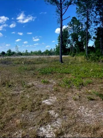 1108306 Oil Well Road Clermont FL 34714