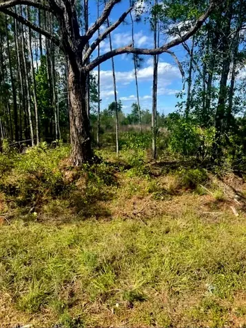 1108306 Oil Well Road Clermont FL 34714