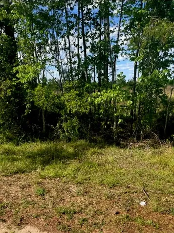 1108306 Oil Well Road Clermont FL 34714