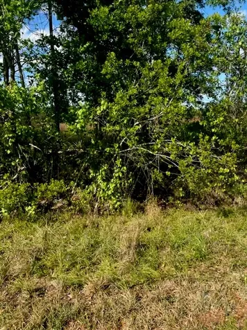 1108306 Oil Well Road Clermont FL 34714