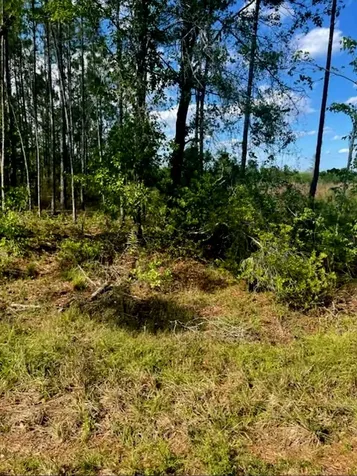 1108306 Oil Well Road Clermont FL 34714