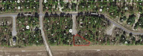 6901 Swan Point Citrus Springs FL 34434