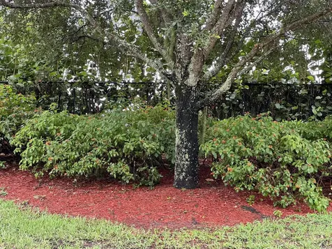 2826 Bellarosa Circle Royal Palm Beach FL 33411