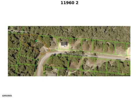11960 N Condor Drive Citrus Springs FL 34433
