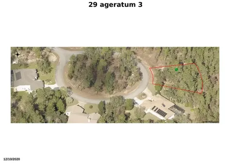 29 Ageratum Court Homosassa FL 34446