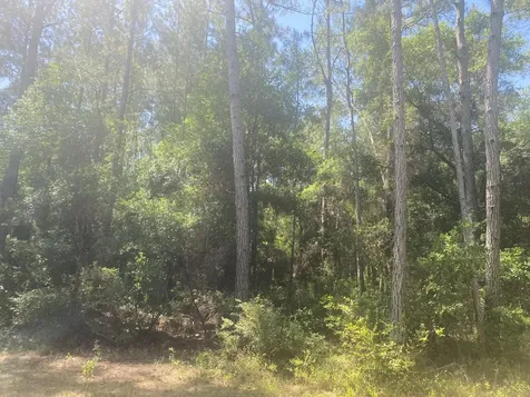 Tbd NE 155 Lane Fort McCoy FL 32134