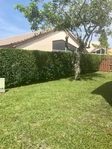 6581 Kings Creek Terrace Boynton Beach FL 33437