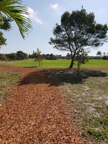 717 S Us Highway 1 Jupiter FL 33477