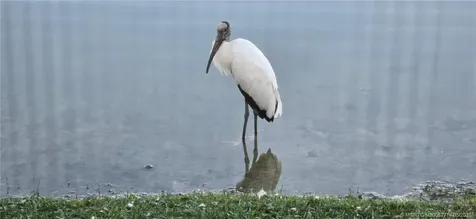 162 Plantation Boulevard Lake Worth FL 33467