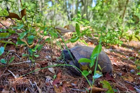 4811 NE Savannah Road Jensen Beach FL 34957