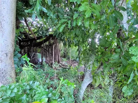 5470 SE Ebbtide Avenue Stuart FL 34997