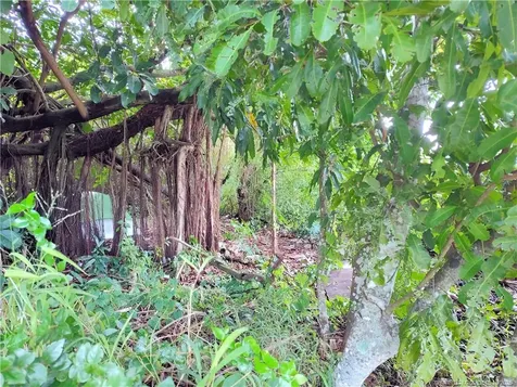 5470 SE Ebbtide Avenue Stuart FL 34997