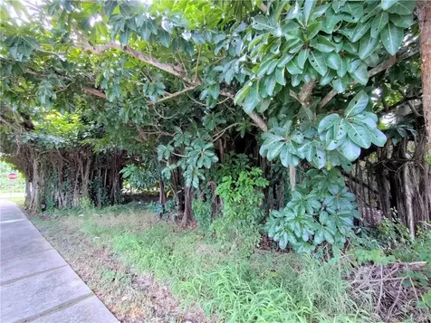 5470 SE Ebbtide Avenue Stuart FL 34997