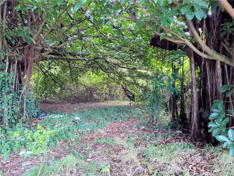 5470 SE Ebbtide Avenue Stuart FL 34997