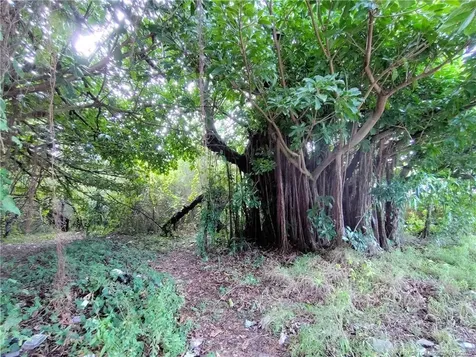 5470 SE Ebbtide Avenue Stuart FL 34997