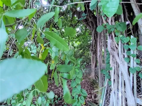 5470 SE Ebbtide Avenue Stuart FL 34997