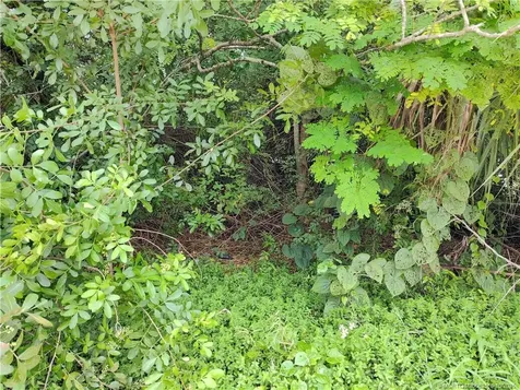 5470 SE Ebbtide Avenue Stuart FL 34997