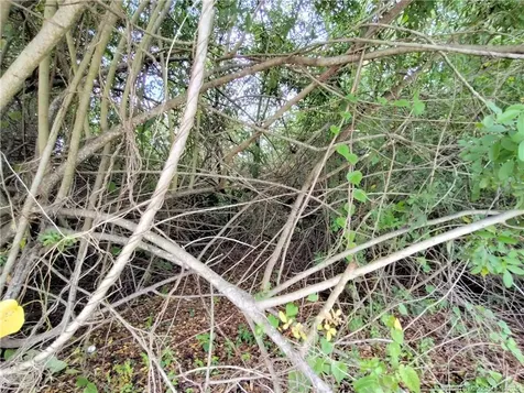 5470 SE Ebbtide Avenue Stuart FL 34997