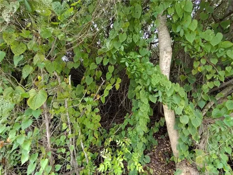 5470 SE Ebbtide Avenue Stuart FL 34997