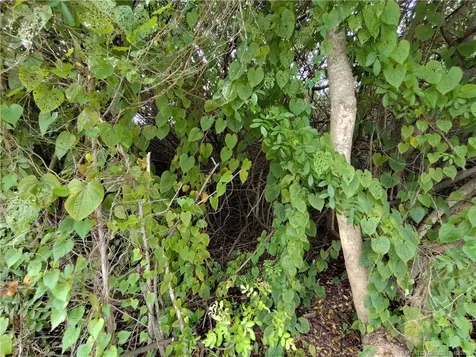 5470 SE Ebbtide Avenue Stuart FL 34997