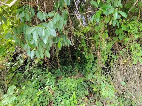 5470 SE Ebbtide Avenue Stuart FL 34997