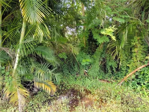 5470 SE Ebbtide Avenue Stuart FL 34997