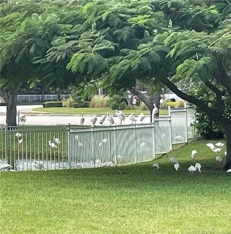 59 SE Palermo Court Stuart FL 34994