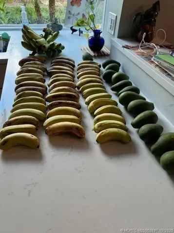 4881 SW Parkgate Boulevard Palm City FL 34990