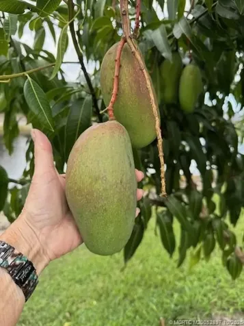 4881 SW Parkgate Boulevard Palm City FL 34990