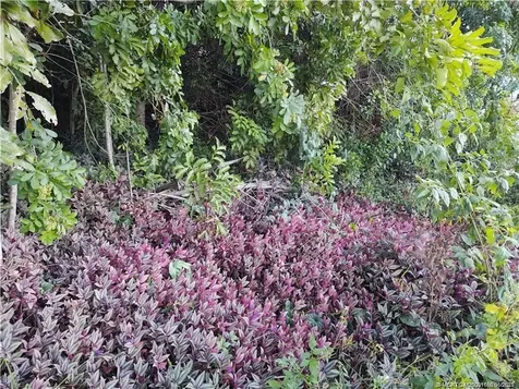 2315 SW Chestnut Lane Port St Lucie FL 34953