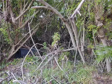 2315 SW Chestnut Lane Port St Lucie FL 34953