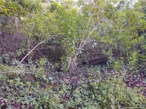 2315 SW Chestnut Lane Port St Lucie FL 34953