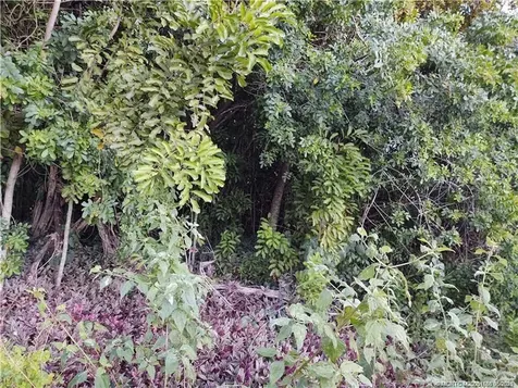 2315 SW Chestnut Lane Port St Lucie FL 34953