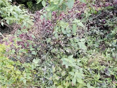 2315 SW Chestnut Lane Port St Lucie FL 34953