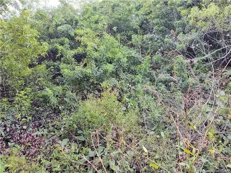 2315 SW Chestnut Lane Port St Lucie FL 34953